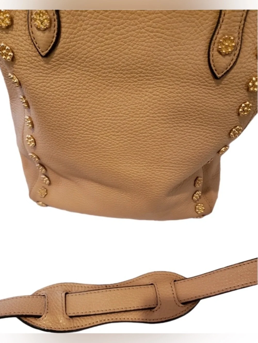 Annabel Ingall Daisy Leather Studded Crossbody Tote